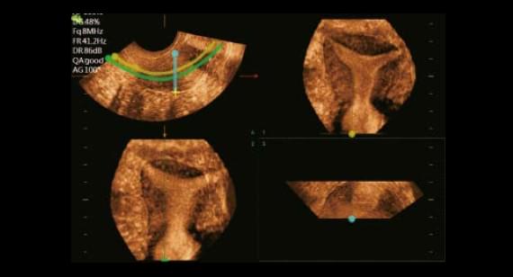 gynecologist-4.jpg gynecologist-4.jpg